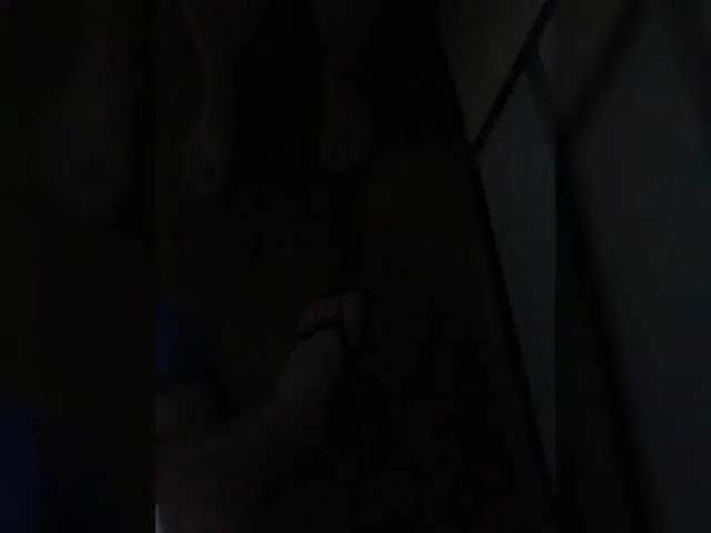 SashaLena728 — Freechat on BongaCams