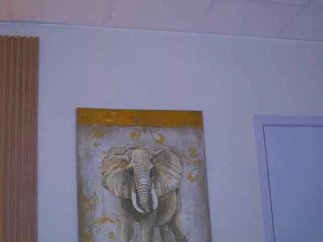 SweetObsessionXO on BongaCams 