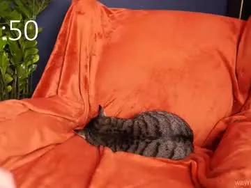 waynenorth — [223 Left] UNCUT GLORY #uncut #muscle #hairy #ass #cum