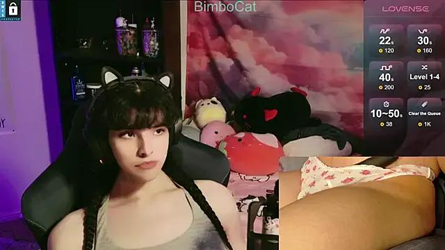 BimboCat on StripChat 