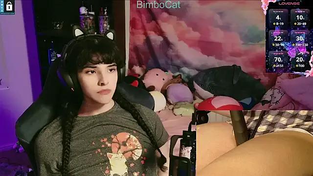 BimboCat on StripChat 