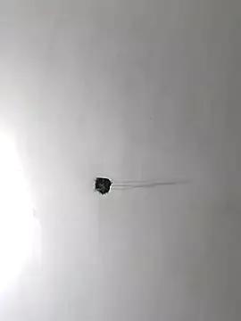 radhika2 on StripChat