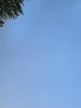 raen001 — Suck my new dildo 